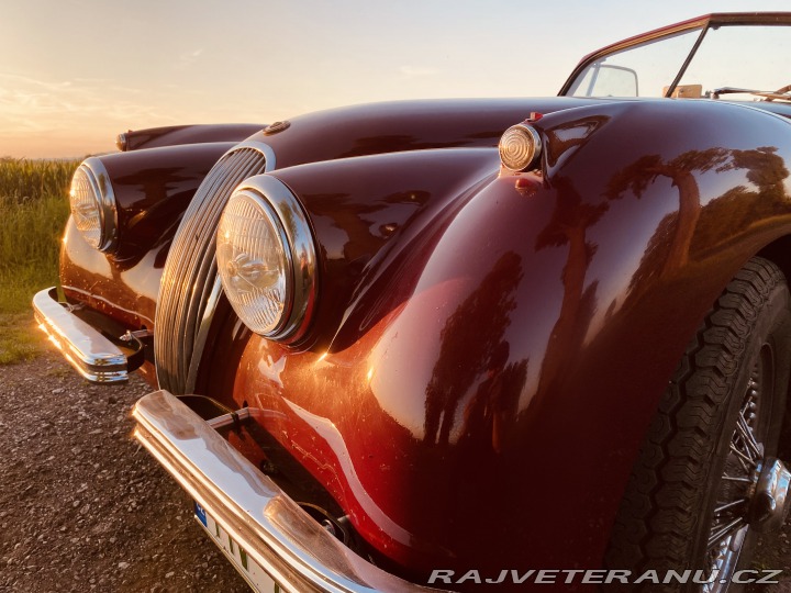 Jaguar XK 120 Carrera Panamericana 1954