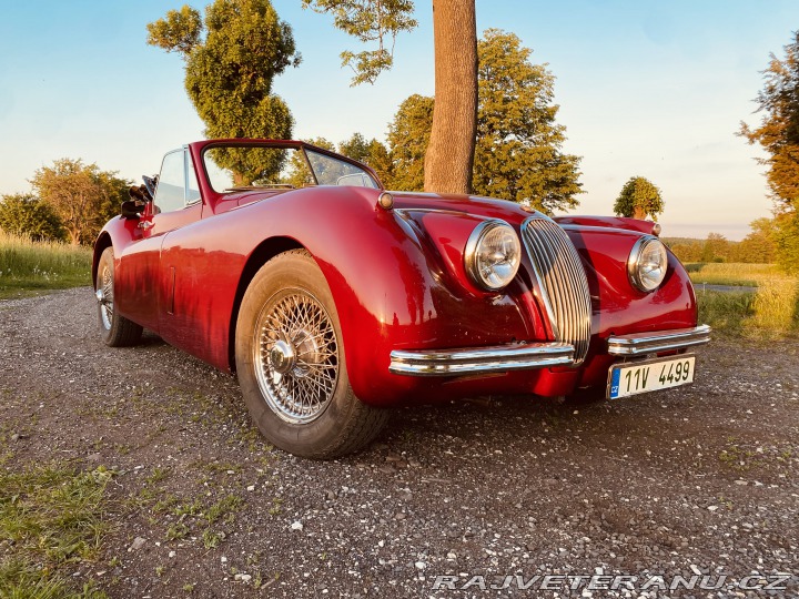 Jaguar XK 120 Carrera Panamericana 1954