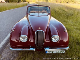 Jaguar XK 120 Carrera Panamericana 1954