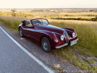 Jaguar XK 120 Carrera Panamericana 1954