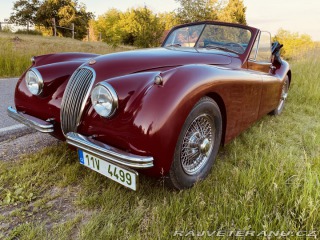 Jaguar XK 120 Carrera Panamericana 1954