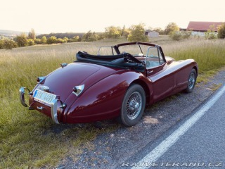 Jaguar XK 120 Carrera Panamericana 1954