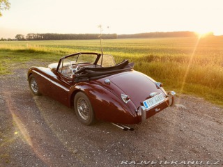 Jaguar XK 120 Carrera Panamericana 1954