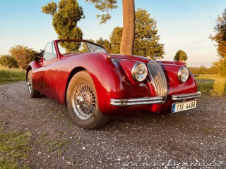 Jaguar XK 120 Carrera Panamericana 1954