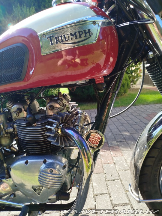 Triumph Daytona T100R 1970