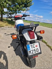 Honda XL XL 600 RM 1988 1988