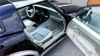 Chevrolet Corvette Pace Car - Anniversary Edition 1978