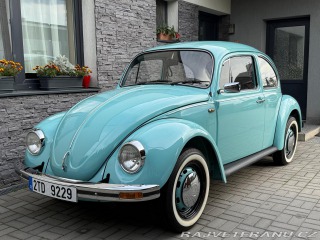 Volkswagen Brouk 