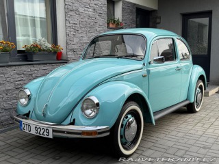 Volkswagen Brouk 1977