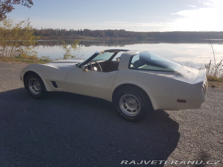 Chevrolet Corvette C3 1981