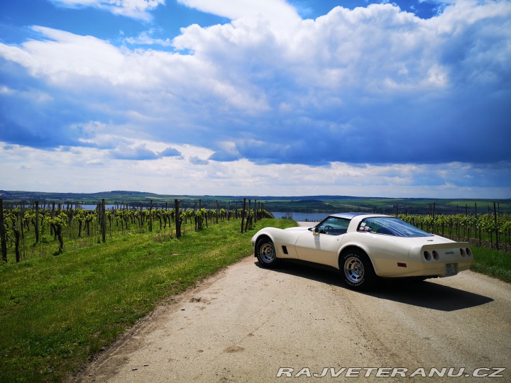Chevrolet Corvette C3 1981