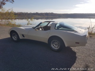 Chevrolet Corvette C3 1981