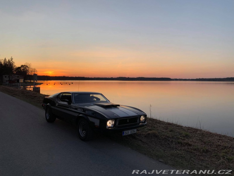 Ford Mustang Mach1 Fastback Cobra Jet