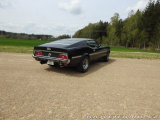 Ford Mustang Mach1 Fastback Cobra Jet 1973