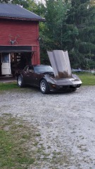 Chevrolet Corvette 5.7 V8 1978