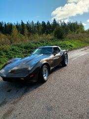 Chevrolet Corvette 5.7 V8 1978