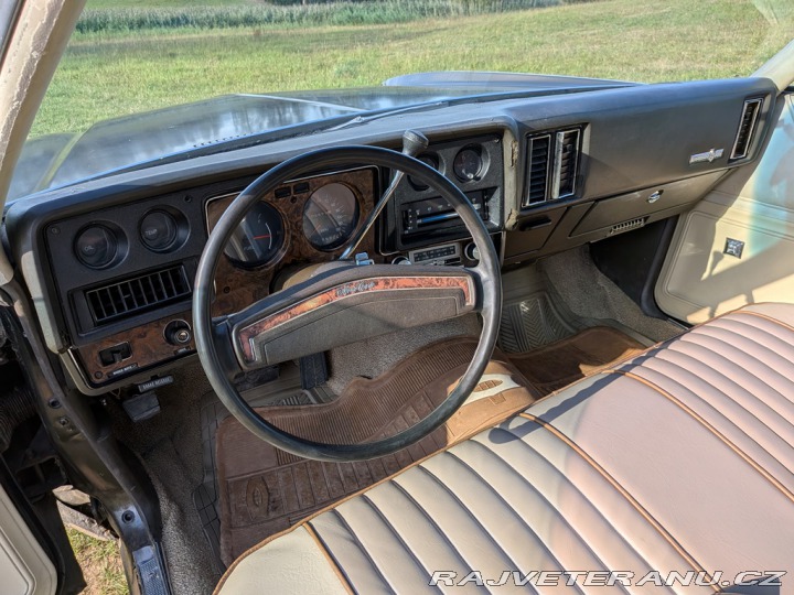 Chevrolet Monte Carlo  1973