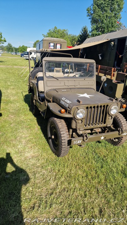 Jeep Willys M38 1952