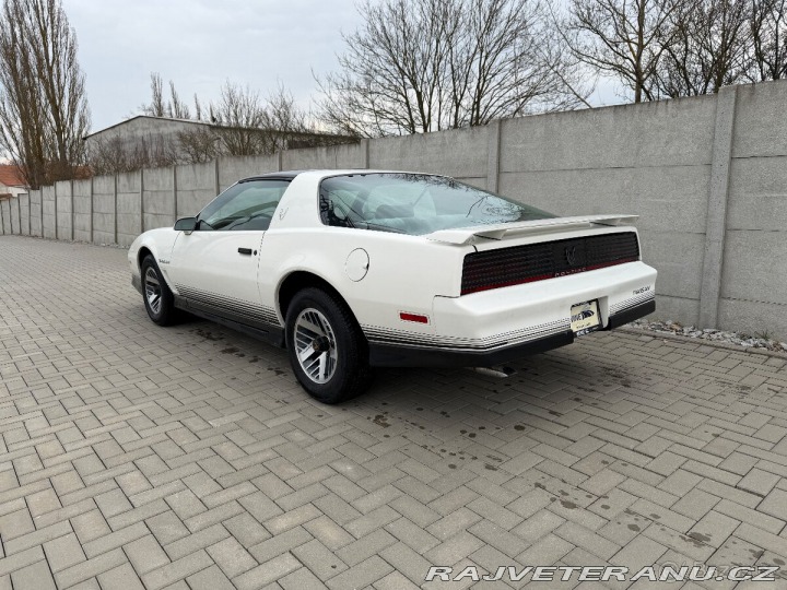 Pontiac Trans Am 1984
