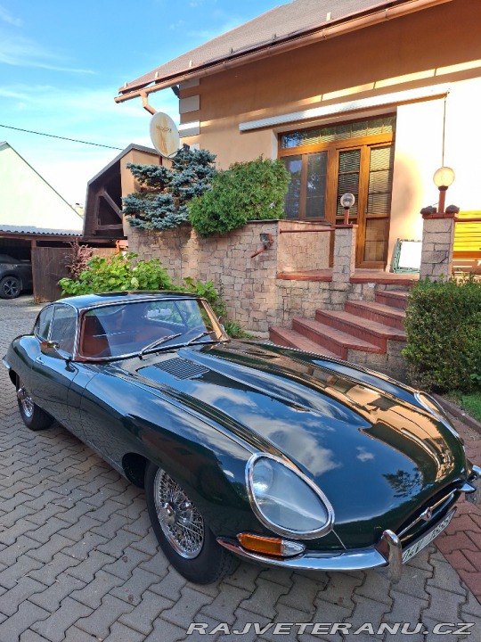 Jaguar E-Type FHC coupe 1964