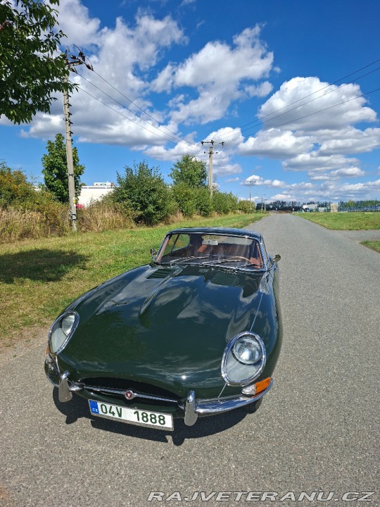 Jaguar E-Type FHC coupe 1964