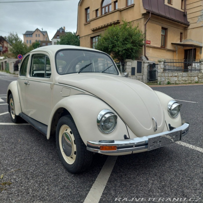 Volkswagen Brouk