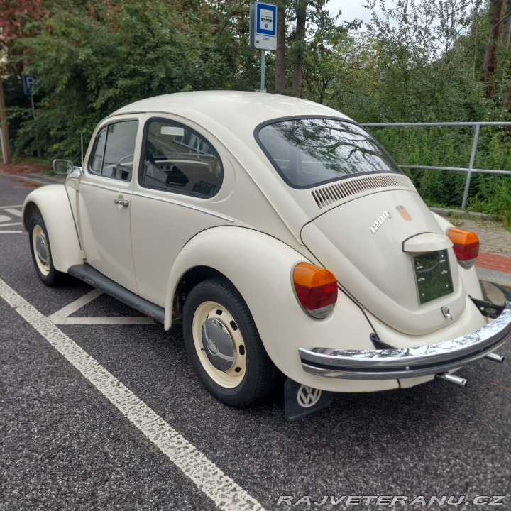 Volkswagen Brouk 1976