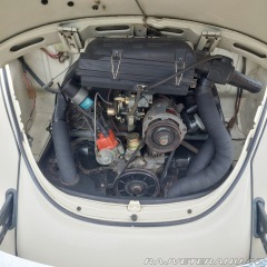 Volkswagen Brouk 1976