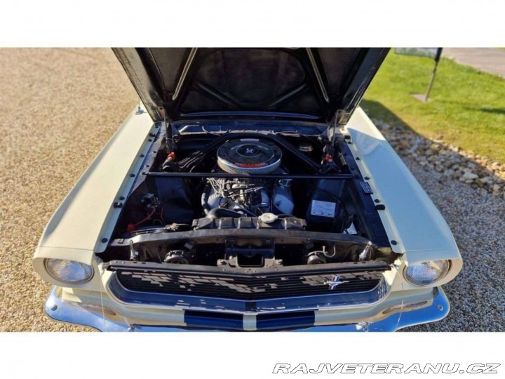 Ford Mustang GT350 1966