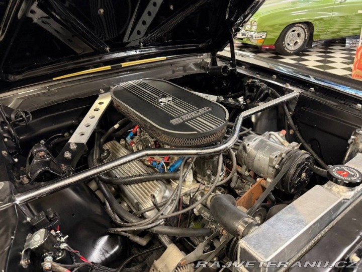 Ford Mustang Shelby GT 350H 1965