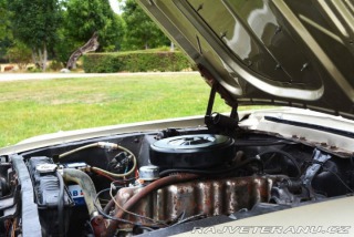 Ford Mustang  1967