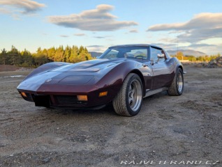 Chevrolet Corvette 454 Deluxe 1973