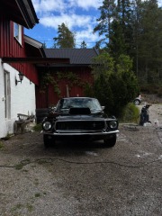 Ford Mustang  1968