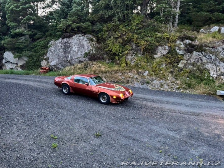 Pontiac Firebird Trans Am 1979