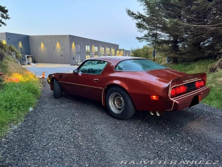 Pontiac Firebird Trans Am 1979