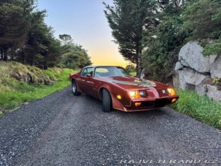 Pontiac Firebird Trans Am 1979