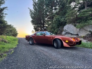 Pontiac Firebird Trans Am 1979
