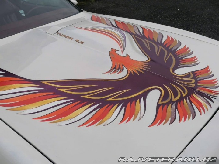 Pontiac Firebird Trans Am 1980