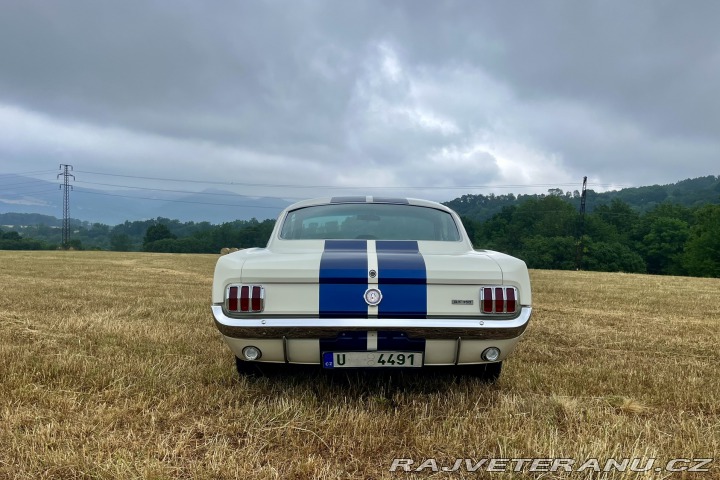 Ford Mustang Shelby GT350 - Tribute 1800