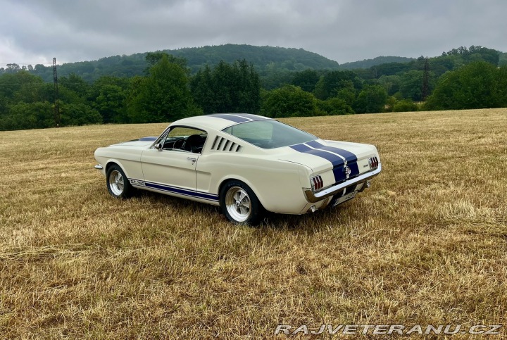 Ford Mustang Shelby GT350 - Tribute 1800
