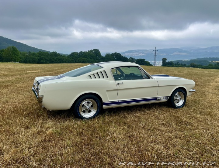 Ford Mustang Shelby GT350 - Tribute 1800