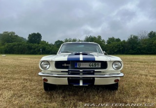 Ford Mustang Shelby GT350 - Tribute 1800