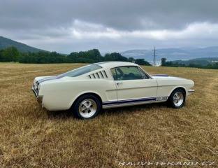 Ford Mustang Shelby GT350 - Tribute 1800