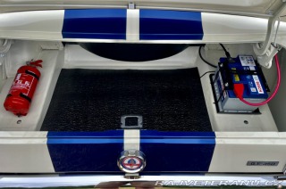 Ford Mustang Shelby GT350 - Tribute 1800