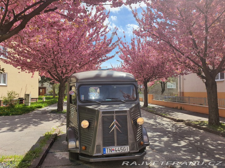 Citroën H Van 1981