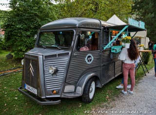 Citroën H Van 1981