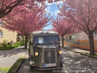 Citroën H Van 1981