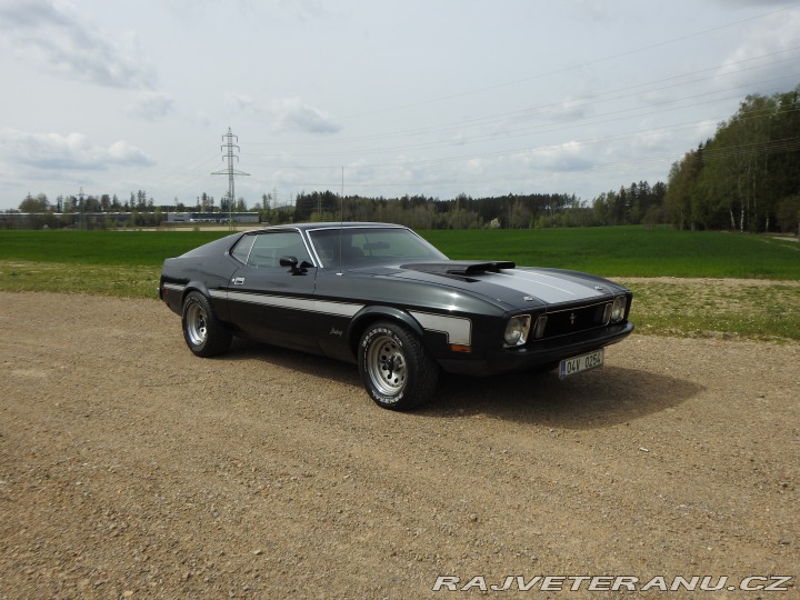 Ford Mustang Mach1 Fastback Cobra Jet 1973