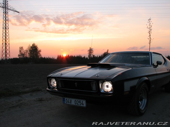 Ford Mustang Mach1 Fastback Cobra Jet 1973