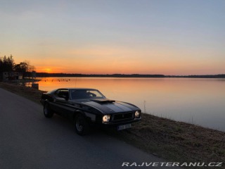 Ford Mustang Mach1 Fastback Cobra Jet 1973